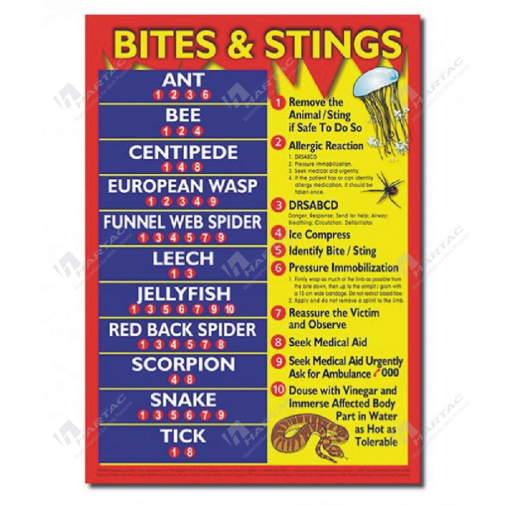 Snake Bite First Aid Poster