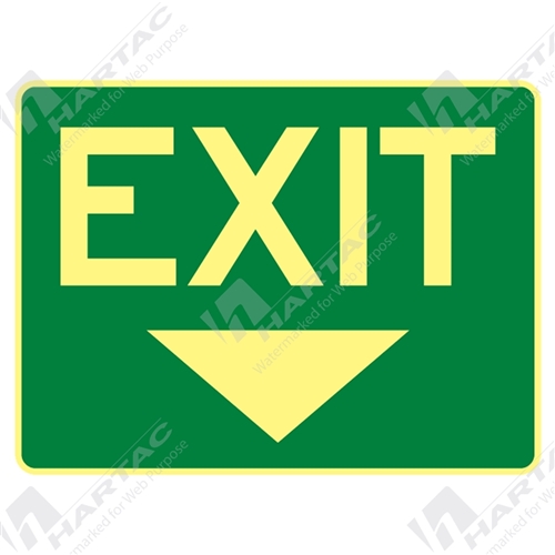 Exit Signs - 300*225 Metal Lum Exit With Down Arrow Luminous on Green ...